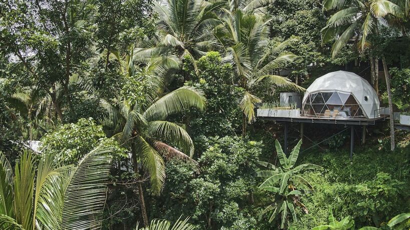 Imagen de la habitación del Hotel Lintang Luku Tent Resort. Foto 15