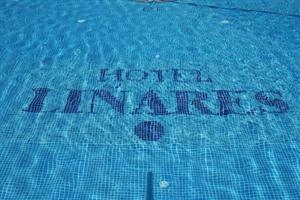 Imagen general del Hotel Li&ntilde;ares, Poio. Foto 2