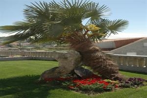 Imagen general del Hotel Li&ntilde;ares, Poio. Foto 3