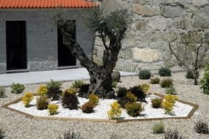 Imagen general del Hotel Li&ntilde;ares, Poio. Foto 4