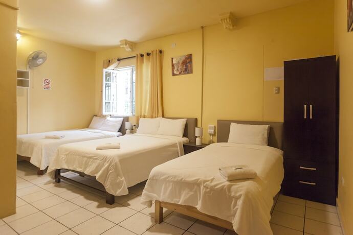 Imagen de la habitación del Hotel Lion Backpackers. Foto 35