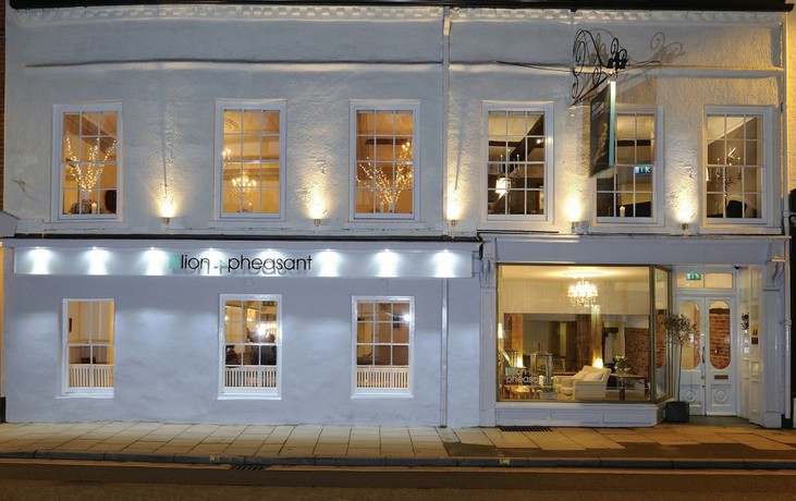 Imagen general del Hotel Lion and Pheasant. Foto 6