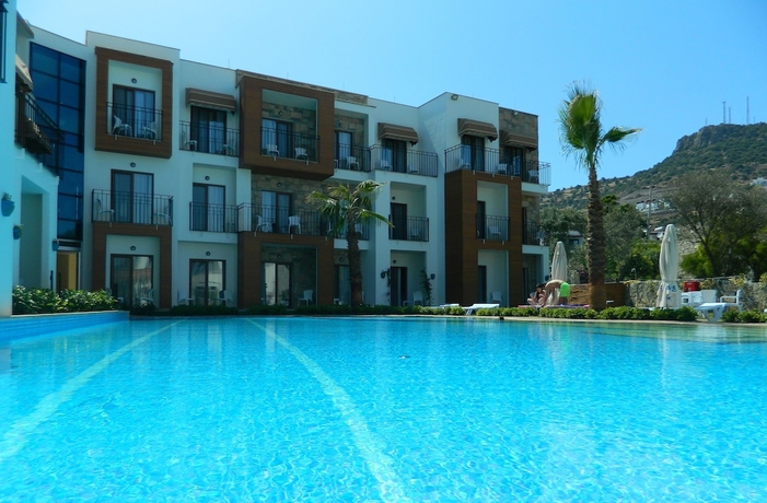 Imagen de la piscina del Hotel Liona. Foto 19
