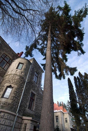Imagen general del Hotel Lion's Castle. Foto 11