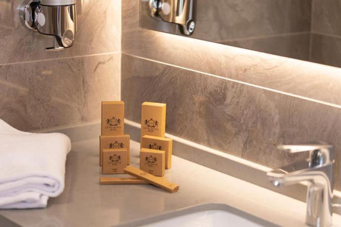 Imagen de la habitación del Hotel Lions Royal. Foto 9