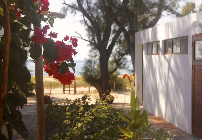 Imagen de la habitación del Hotel Liquid Dive Adventures. Foto 8