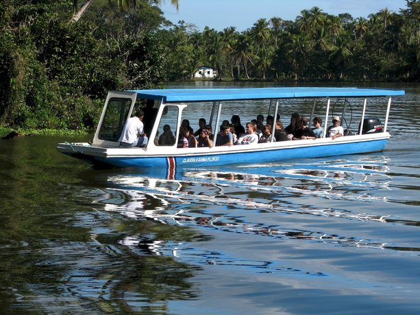 Imagen de los exteriores del Hotel Lirio Lodge. Foto 14