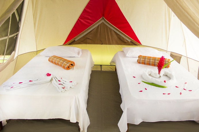 Imagen de la habitación del Hotel Lirio Lodge. Foto 7