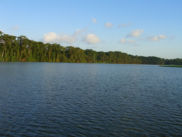 Imagen de los exteriores del Hotel Lirio Lodge. Foto 16