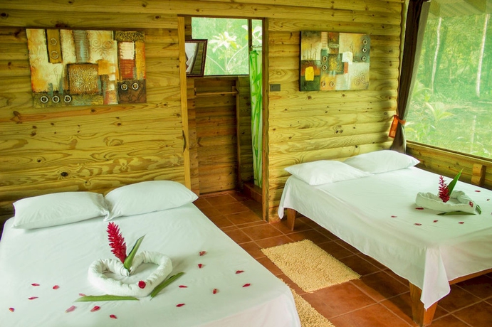 Imagen de la habitación del Hotel Lirio Lodge. Foto 13