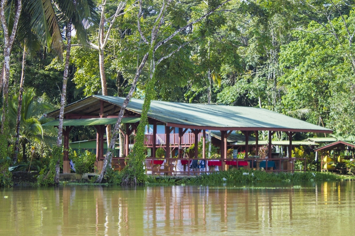 Imagen del bar/restaurante del Hotel Lirio Lodge. Foto 5