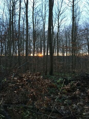 Imagen general del Hotel Liselund Ny Slot. Foto 3