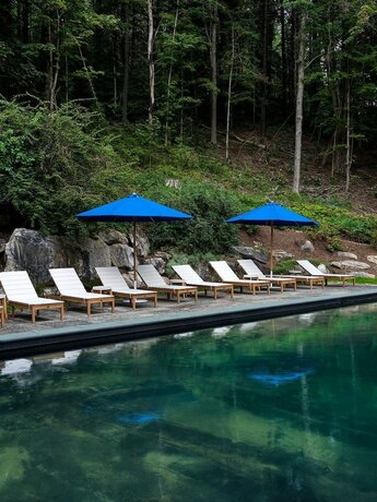 Imagen general del Hotel Little Cat Lodge. Foto 12