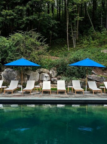 Imagen general del Hotel Little Cat Lodge. Foto 13