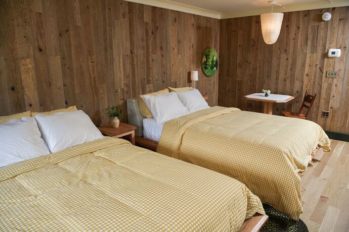 Imagen de la habitación del Hotel Little Cat Lodge. Foto 20