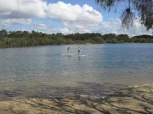 Imagen general del Hotel Little Cove Currumbin. Foto 6