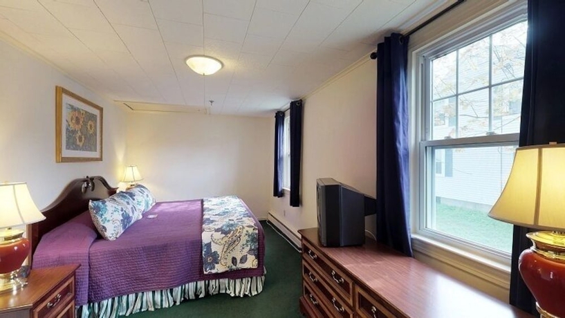 Imagen de la habitación del Hotel Little Fig. Foto 8