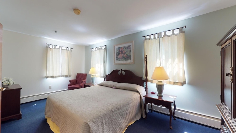 Imagen de la habitación del Hotel Little Fig. Foto 13