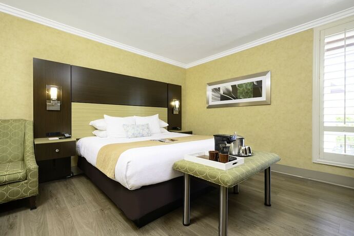 Imagen de la habitación del Hotel Little Inn By The Bay Newport Beach. Foto 14