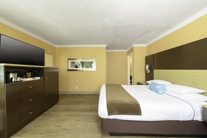 Imagen de la habitación del Hotel Little Inn By The Bay Newport Beach. Foto 18