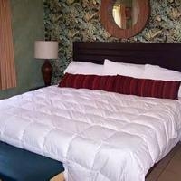 Imagen general del Hotel Little Inn. Foto 5