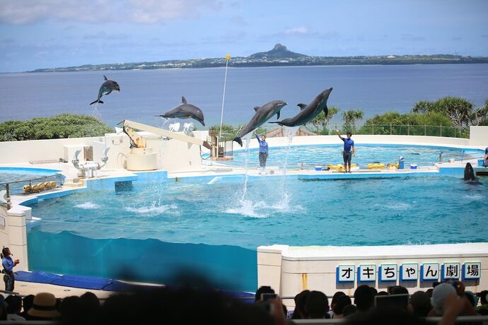 Imagen general del Hotel Little Island Okinawa Nago. Foto 13