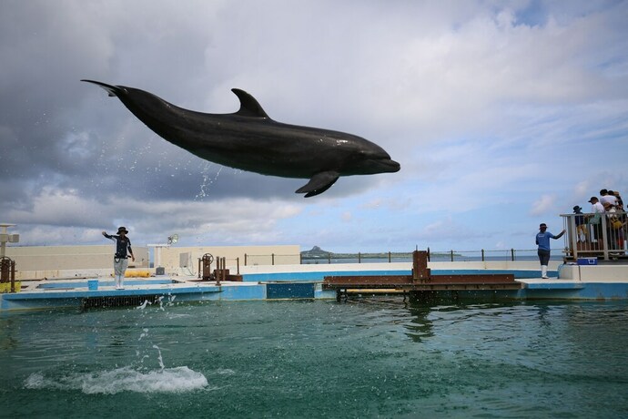 Imagen general del Hotel Little Island Okinawa Nago. Foto 2