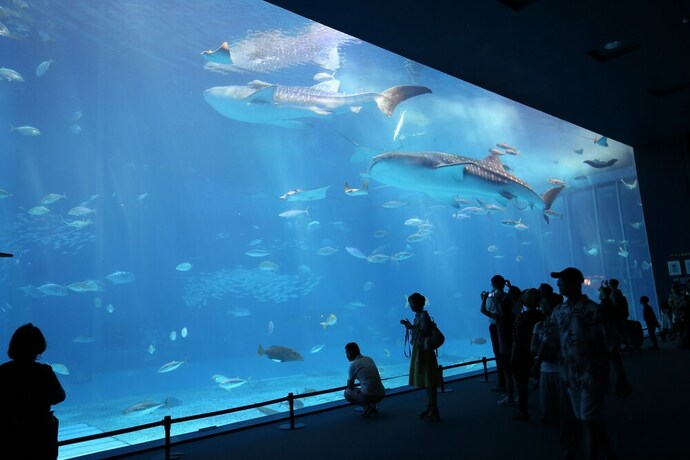 Imagen general del Hotel Little Island Okinawa Nago. Foto 3