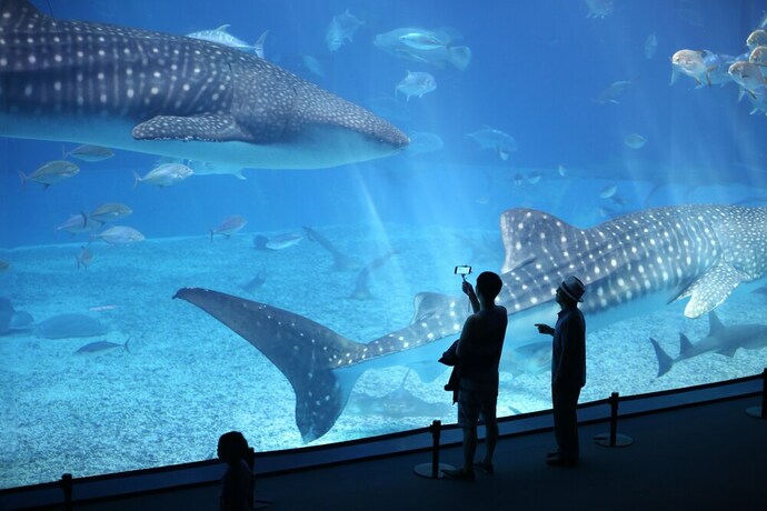 Imagen general del Hotel Little Island Okinawa Nago. Foto 5