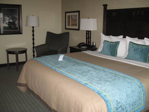 Imagen de la habitación del Hotel Little Missouri Inn and Suites New Town. Foto 10