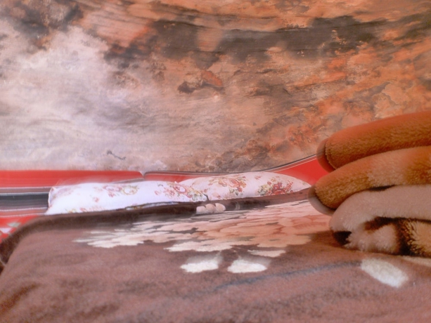 Imagen de la habitación del Hotel Little Petra Bedouin Camp. Foto 13
