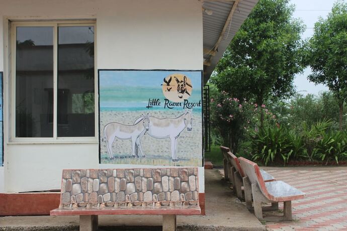 Imagen general del Hotel Little Rann Resort. Foto 5