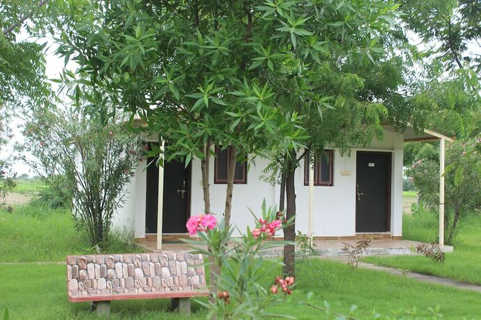 Imagen de la habitación del Hotel Little Rann Resort. Foto 18