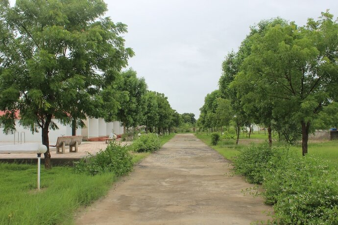Imagen general del Hotel Little Rann Resort. Foto 14