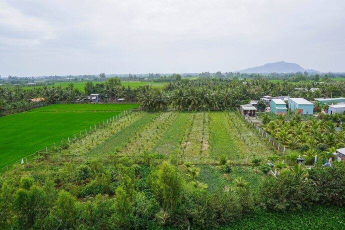 Imagen general del Hotel Little Saigon Hostel. Foto 13