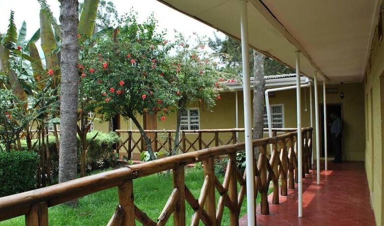 Imagen general del Hotel Little Woods Inn. Foto 12