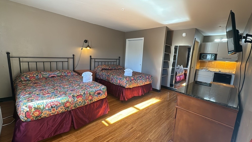 Imagen de la habitación del Hotel Live In Lodge. Foto 7