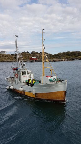 Imagen general del Hotel Live Lofoten. Foto 2