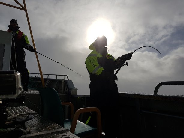 Imagen general del Hotel Live Lofoten. Foto 3