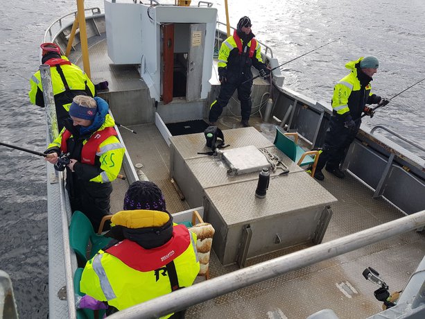 Imagen general del Hotel Live Lofoten. Foto 4