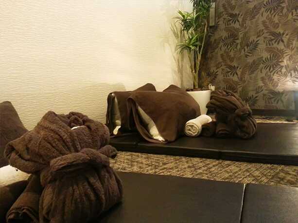 Imagen general del Hotel Livemax Sagamihara. Foto 14