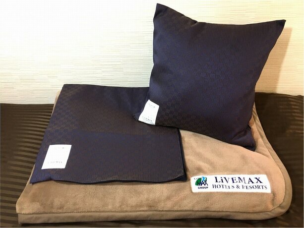 Imagen de la habitación del Hotel Livemax Sagamihara. Foto 33