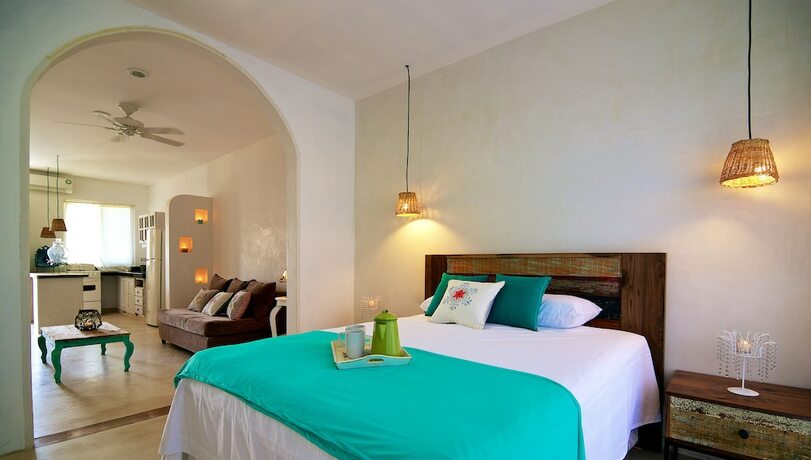 Imagen de la habitación del Hotel Livetulum. Foto 17