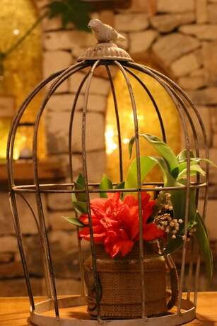 Imagen general del Hotel Livetulum, Tulum. Foto 3