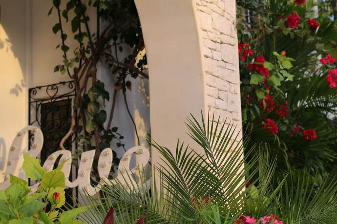 Imagen general del Hotel Livetulum, Tulum. Foto 5