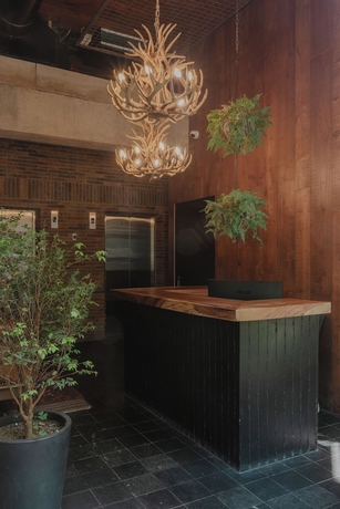 Imagen de los interiores del Hotel Living 10-36 Dieztreintayseis Short and Long Term. Foto 12