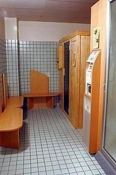 Imagen general del Hotel Lizard. Foto 16