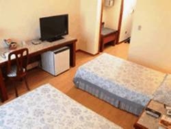 Imagen de la habitación del Hotel Lizon Curitiba. Foto 9