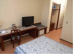 Imagen de la habitación del Hotel Lizon Curitiba. Foto 15