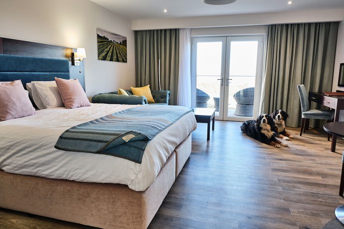 Imagen de la habitación del Hotel Llanerch Vineyard. Foto 9